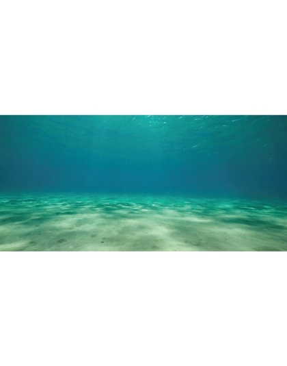 Aquatic Creations Ocean Floor Cling Aquarium Background - 36" Long x 18" Wide