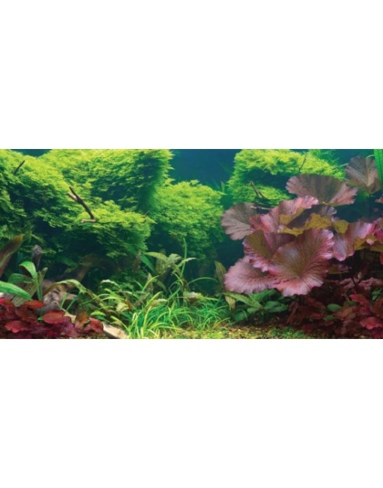 Aquatic Creations Tropical Cling Aquarium Background - 24" Long x 12" Wide