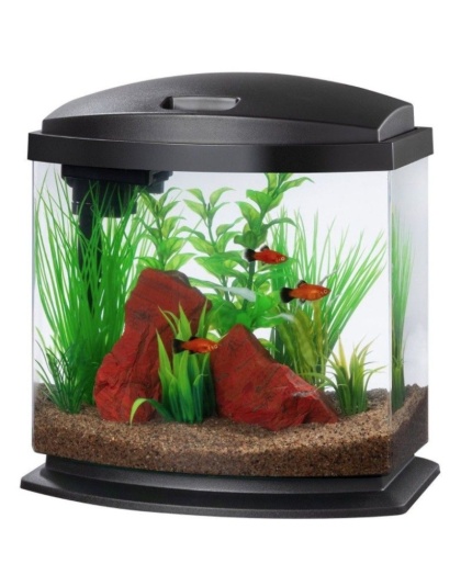 Aqueon LED MiniBow 2.5 SmartClean Aquarium Kit Black - 2.5 gallon