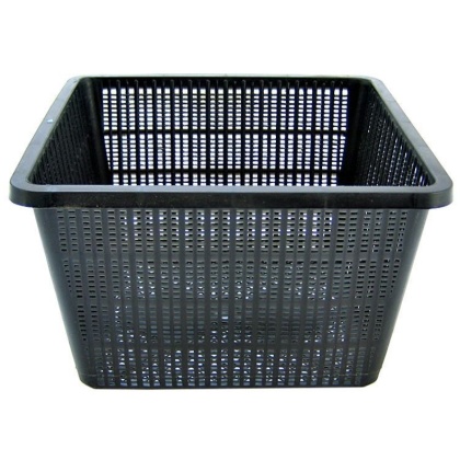 Beckett Square Plant Pond Basket - 1 count