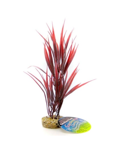 Blue Ribbon Sword Plant with Gravel Base - Red - 10" Tall