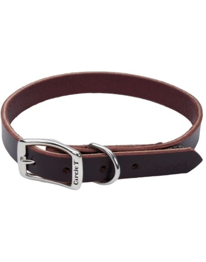 Circle T Latigo Leather Town Collar - 20" Long x 3/4" Wide