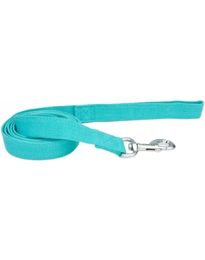 Coastal Pet New Earth Soy Dog Lead Mint Green - 6 feet x 5/8"W