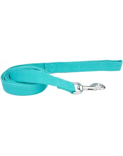 Coastal Pet New Earth Soy Dog Lead Mint Green - 6 feet x 1"W