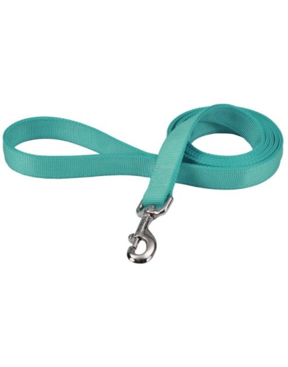 Coastal Pet Double-ply Nylon Dog Lead Teal - 72"L x 1"W