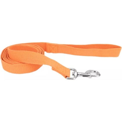 Coastal Pet New Earth Soy Dog Lead Pumpkin Orange - 6 feet x 1"W