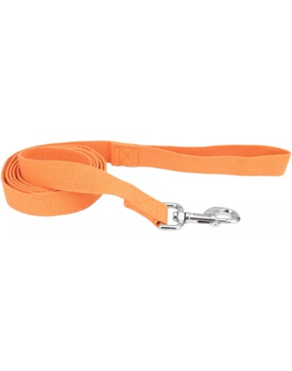 Coastal Pet New Earth Soy Dog Lead Pumpkin Orange - 6 feet x 1"W