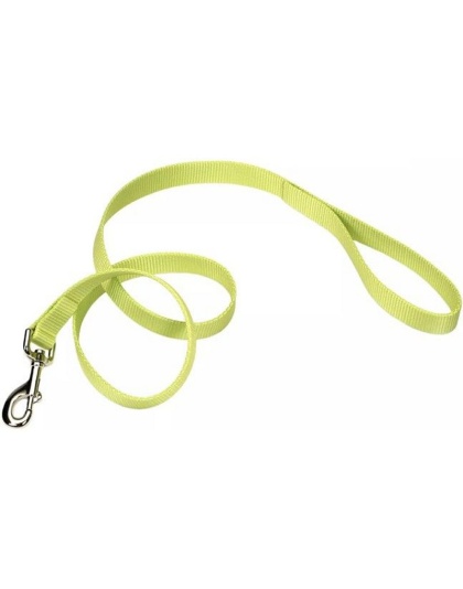 Coastal Pet Single-Ply Nylon Dog Leash Lime Green - 4 feet x 3/8"W