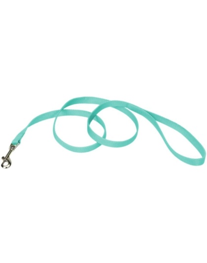 Coastal Pet Single-ply Teal Nylon Dog Lead - 4'L x 5/8"W