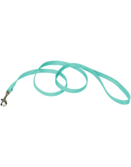 Coastal Pet Single-ply Teal Nylon Dog Lead - 6'L x 5/8"W