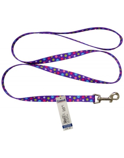 Pet Attire Styles Nylon Dog Leash - Special Paw - 4' Long x 5/8" Wide