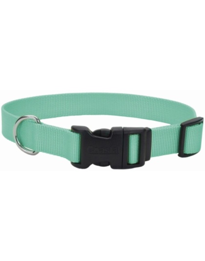 Coastal Pet Teal Nylon Tuff Dog Collar with Plastic Buckle - 8-12"L x 3/8"W