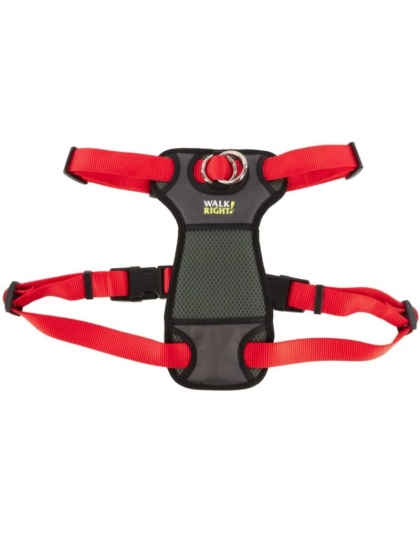 Coastal Pet Walk Right Padded Dog Harness Red - Small