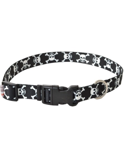 Pet Attire Styles Skulls Adjustable Dog Collar - 18"-26" Long x 1" Wide
