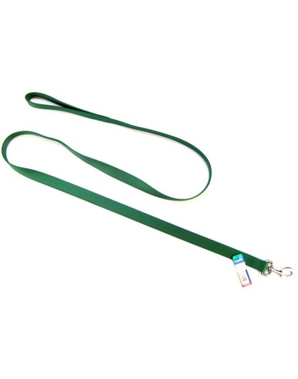 Coastal Pet Single Nylon Lead - Hunter Green - 6' Long x 1" Wide