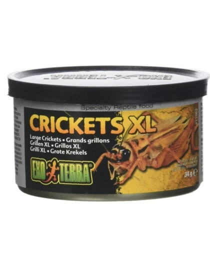 Exo Terra Canned Crickets XL Specialty Reptile Food - 1.2 oz
