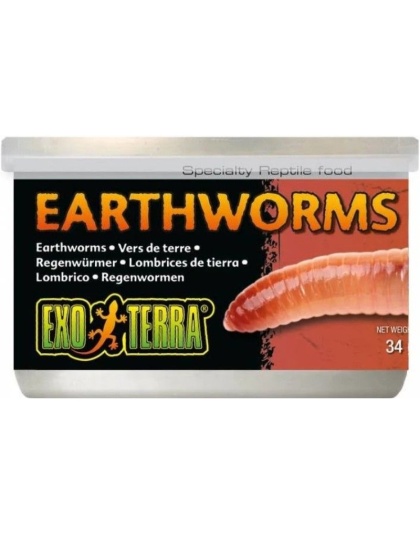 Exo Terra Canned Earthworms Specialty Reptile Food - 1.2 oz
