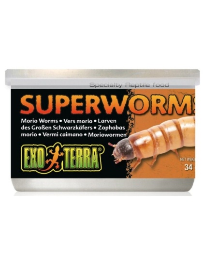 Exo Terra Canned Superworms Specialty Reptile Food - 1.2 oz