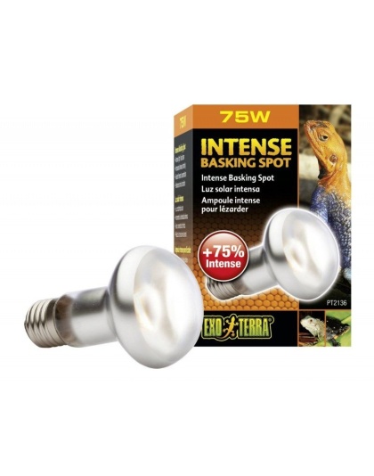 Exo-Terra Sun Glo Tight Beam Basking Spot Lamps - 75 Watts