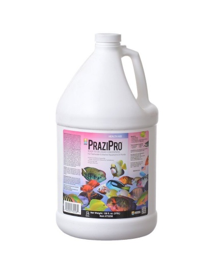 Hikari Aquarium Solutions PraziPro - 1 Gallon