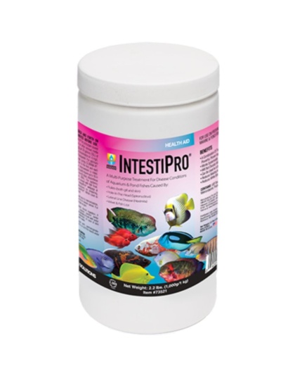 Hikari IntestiPro Powdered Intestinal Worm Treatment - 2.2 lb