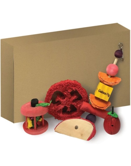 Kaytee Chew & Treat Toy Assortment for Guinea Pigs - 1 count