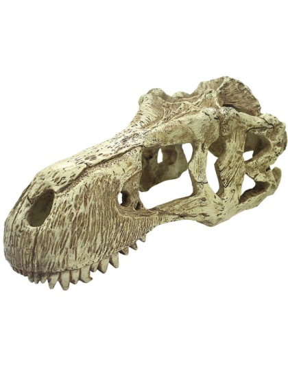 Komodo T-Rex Skull Terrarium Decoration - X-Large - 1 count