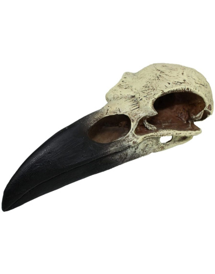 Komodo Raven Skull Terrarium Decoration - Medium - 1 count