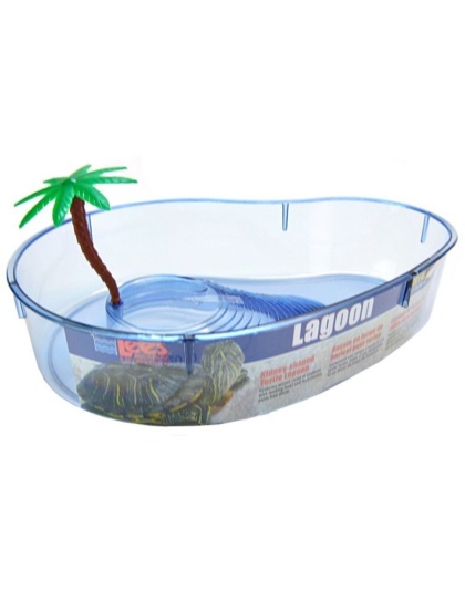 Lees Turtle Lagoon - Assorted Shapes - Kidney Shaped - 14"L x 10"W x 3"H