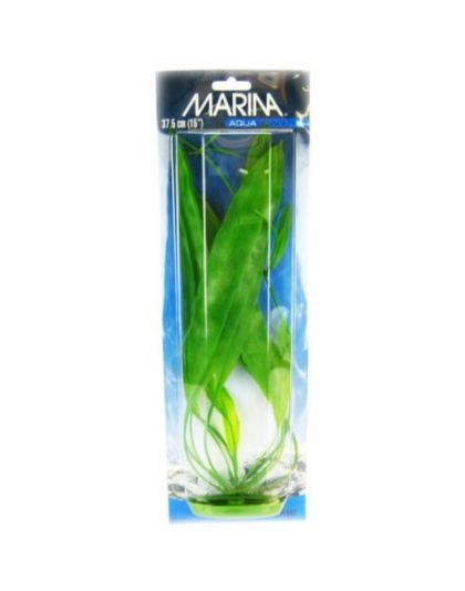 Marina Amazon Sword Plant - 15" Tall