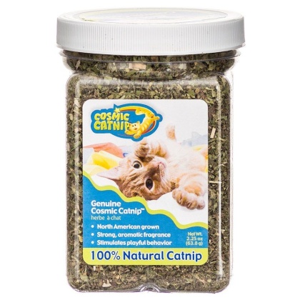 OurPets Cosmic Catnip Cosmic Catnip - 2 oz Cup