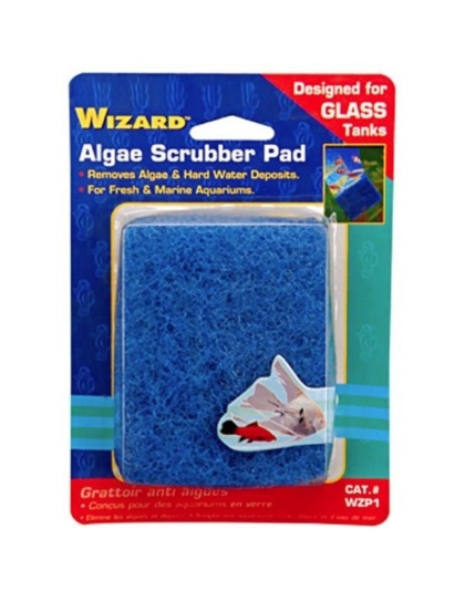 Penn Plax Wizard Algae Scrubber Pad for Glass Aquariums - 3"L x 4"W - 1 count