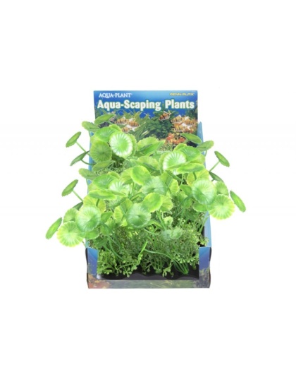 Penn Plax Pennywort Bunch Plant Medium - 1 count