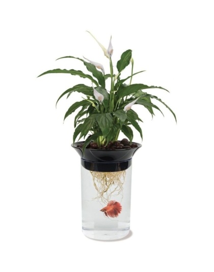 Penn Plax Nature's Aqua-Ponic Planter & Fish Habitat - 0.5 Gallon Tank (3"D x 8.6"H)