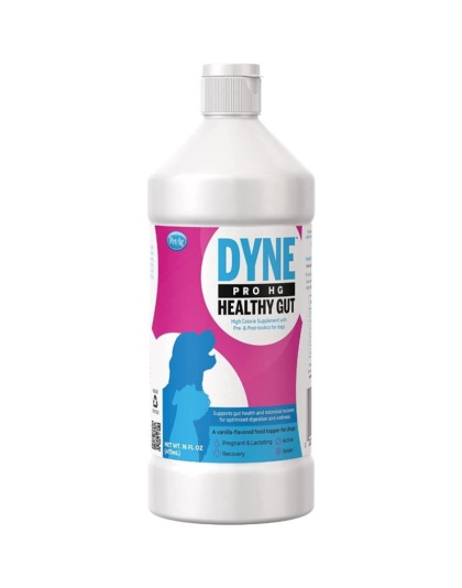 PetAg Dyne PRO HG Healthy Gut Supplement for Dogs - 16 oz