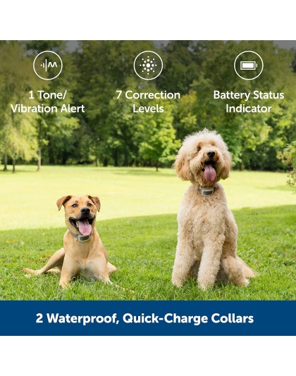 PetSafe Classic In-Ground Fence for Dogs and Cats - Includes TWO Waterproof Collars