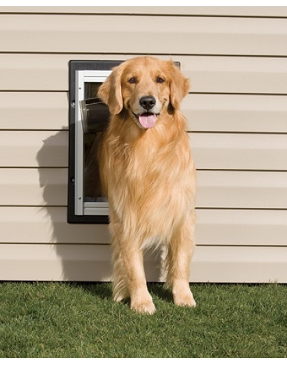 PetSafe Wall Dog Door - Large