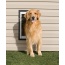 PetSafe Wall Dog Door - Large