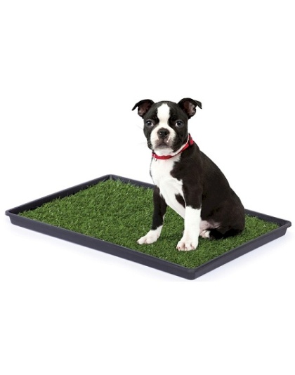 Tinkle Turf - Medium