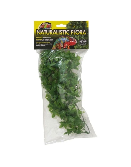 Zoo Med Natural Bush - Congo Ivy Aquarium Plant - Small (8"-10" Tall)