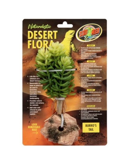 Zoo Med Burros Tail Desert Flora Terrarium Plant - 1 count