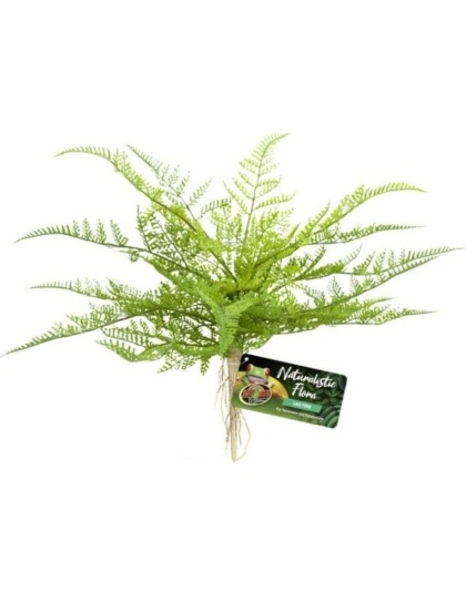 Zoo Med Naturalistic Flora Lace Fern - 1 count