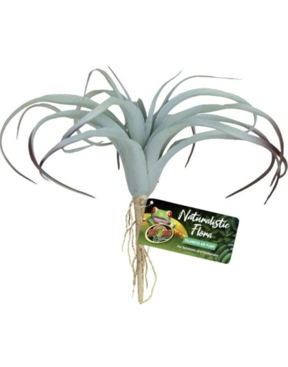 Zoo Med Naturalistic Flora Tillandsia Air Plant - 1 count
