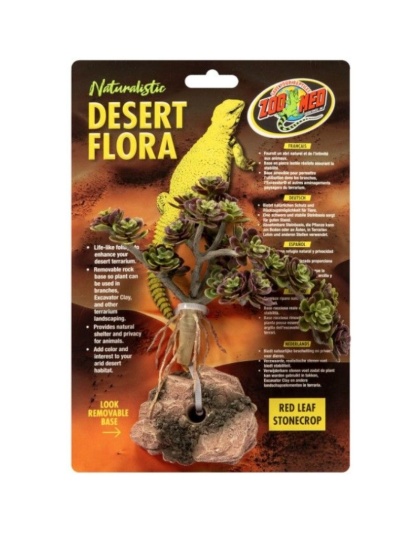 Zoo Med Red Leaf Stonecrop Desert Flora Terrarium Plant - 1 count
