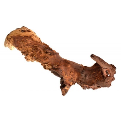 Zoo Med Aquatic Mopani Wood - Jumbo (20"-24" Long)