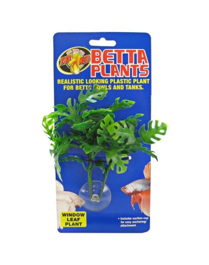 Zoo Med Aquatic Betta Plants - Window Leaf Plant - Window Leaf Betta Plant